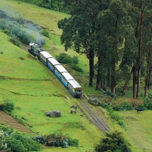 Ooty Hills & Tea Gardens